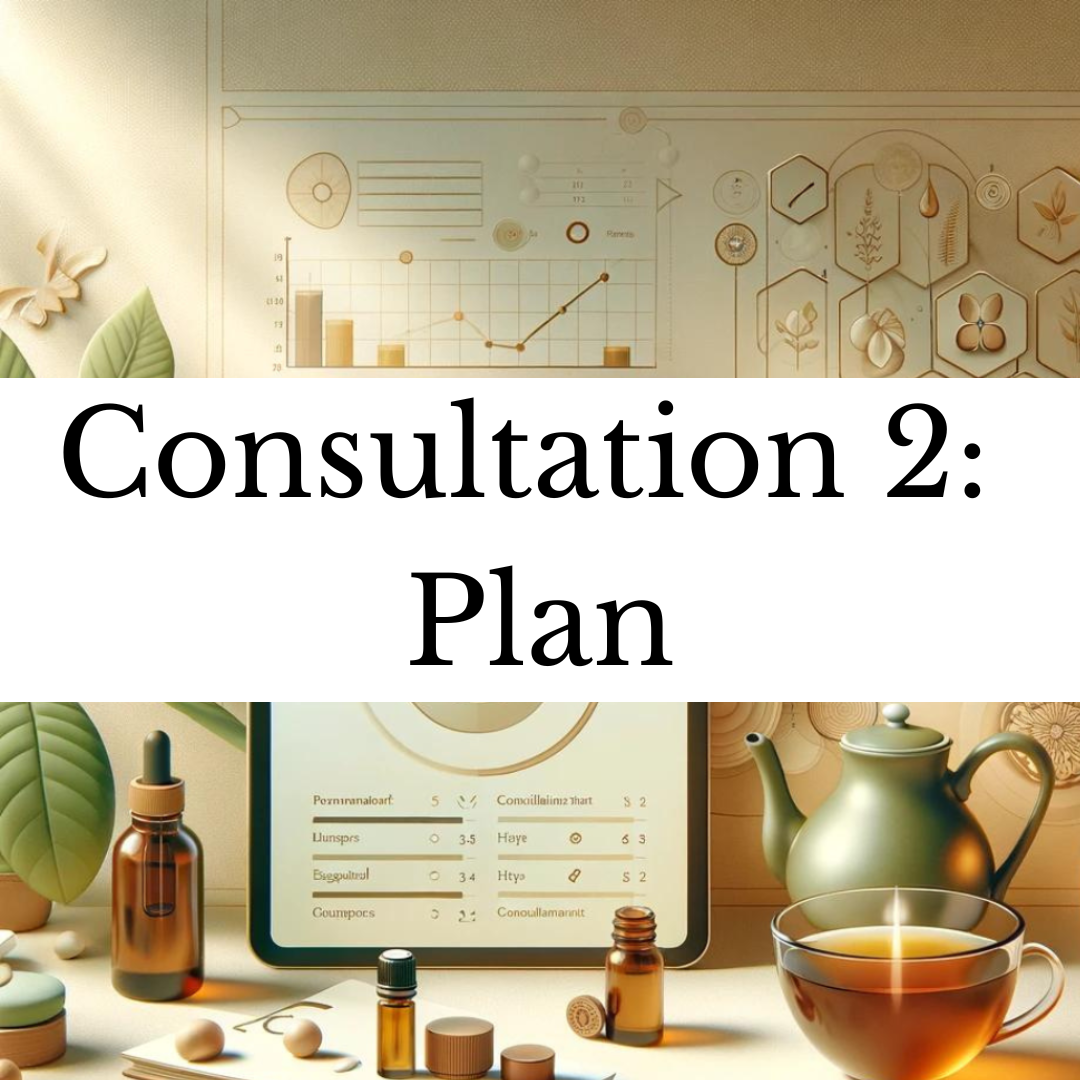 Naturopathic Consultation 2/3 - Customized program - 40 min